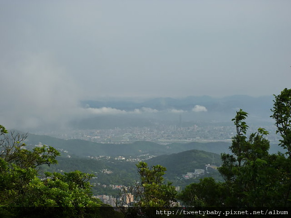 大屯山尋雲海.紗帽山 046.JPG