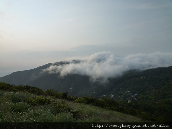 大屯山尋雲海.紗帽山 054.JPG