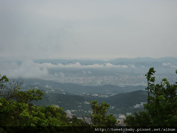 大屯山尋雲海.紗帽山 083.JPG