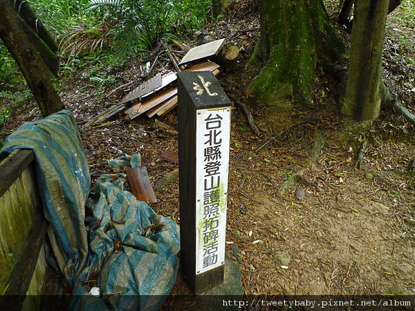 大棟山.大同山.青龍嶺慶生行 129.JPG