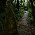 大棟山.大同山.青龍嶺慶生行 191.JPG