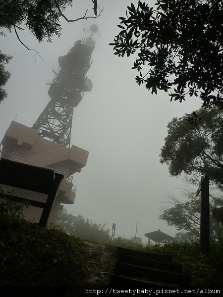 大棟山.大同山.青龍嶺慶生行 203.JPG