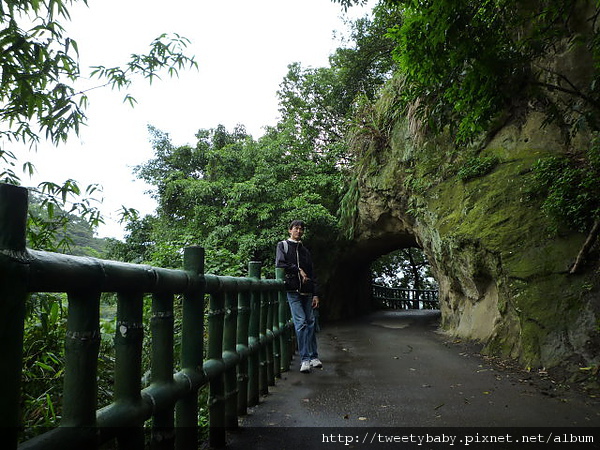 鶯歌牛灶坑山賞桐花 045.JPG