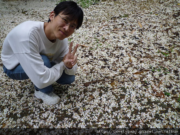 鶯歌牛灶坑山賞桐花 150.JPG