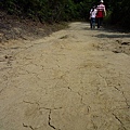 丹鳳山.奇哩岸山.奇岩山 201.JPG