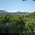 丹鳳山.奇哩岸山.奇岩山 336.JPG