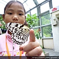 2010台灣大木柵動物園親子日 088.JPG