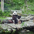 2010台灣大木柵動物園親子日 161.JPG