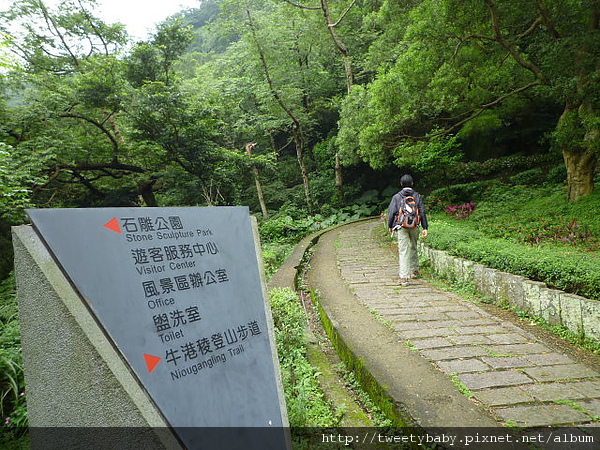 牛港稜登山步道 047.JPG