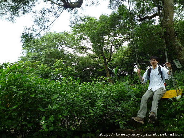 牛港稜登山步道 118.JPG