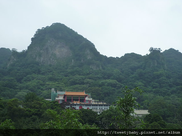 牛港稜登山步道 171.JPG