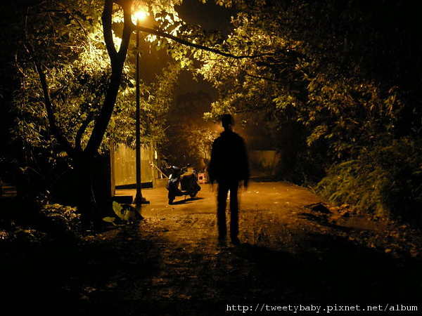 土城青雲路找螢火蟲 020.JPG