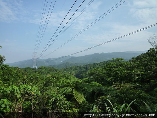 康樂山.青山岩.牛稠尾山.牛稠湖山 038.JPG