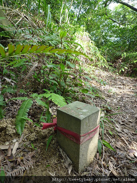 康樂山.青山岩.牛稠尾山.牛稠湖山 070.JPG