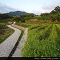 樟湖步道.樟樹步道.魚民日式料理 110.JPG