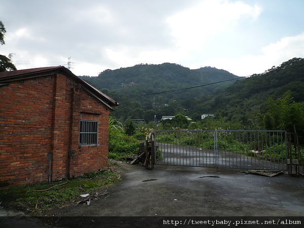 麻竹寮山.向天湖古道 015.JPG