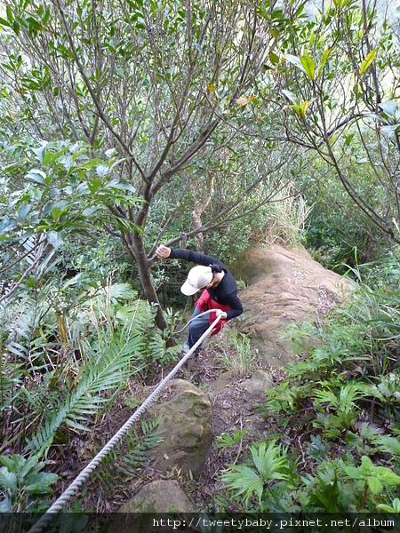 峰頭尖.峰頭尖東峰 175.JPG