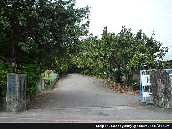 土城打鐵坑山 013.JPG