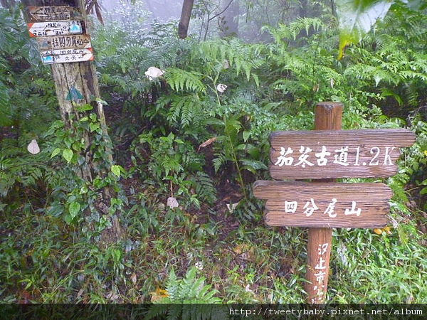 茄苳瀑布.杜月笙墓園 160.JPG