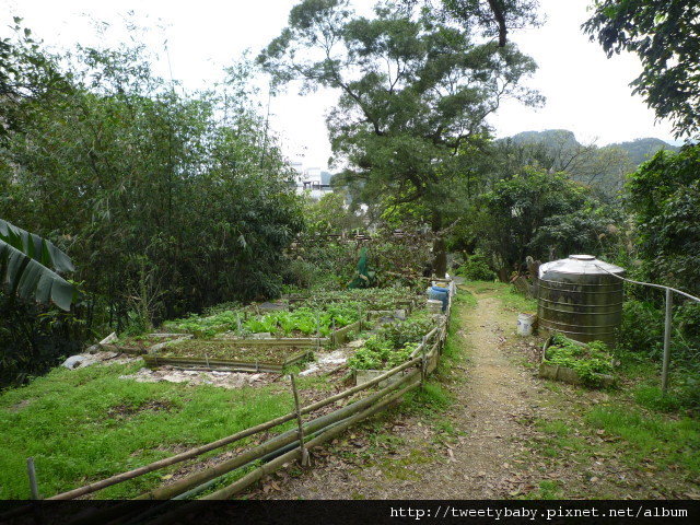 銅鑼燒.錦峰山.臥龍山.七堵臭粿仔.鐵路公園 076.JPG