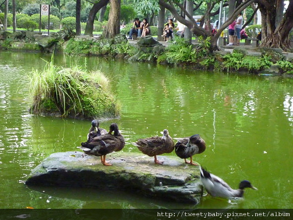 國立台灣博物館 006.JPG