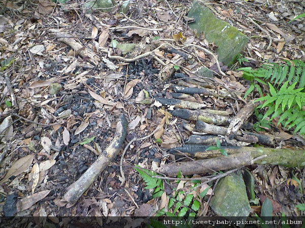 菜刀崙.向天湖山.濛濛湖 082.JPG