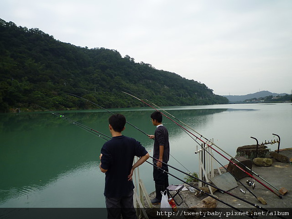 菜刀崙.向天湖山.濛濛湖 142.JPG