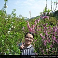 木柵杏花林.待老坑山.救千宮步道 005.JPG