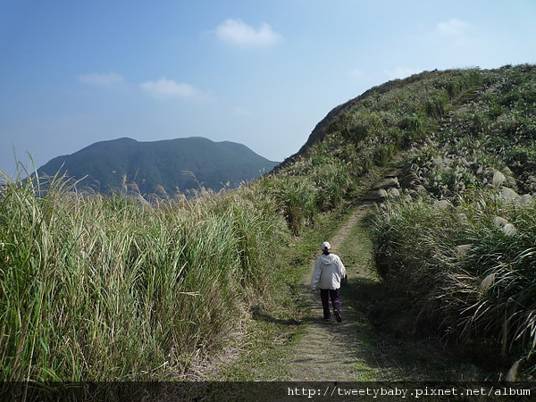 北五指山 016.JPG