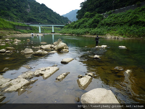 猴硐.劉厝古道.貓村 042.JPG