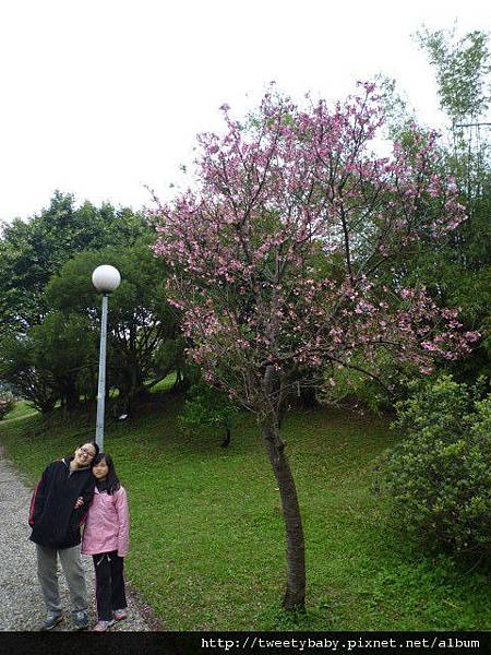 漁僮小舖.富陽生態公園.福州山.中埔山.法蘭克初體驗 050.JPG