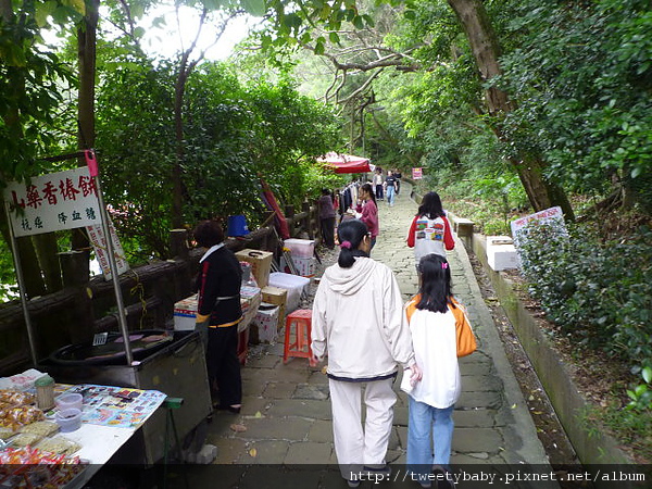 朝山步道.火焰山.打鐵坑山未遇 015.JPG