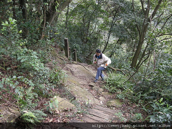 三山國王山.潤濟宮登山步道 083.JPG