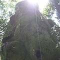 新店小獅山下班散步行 088.JPG