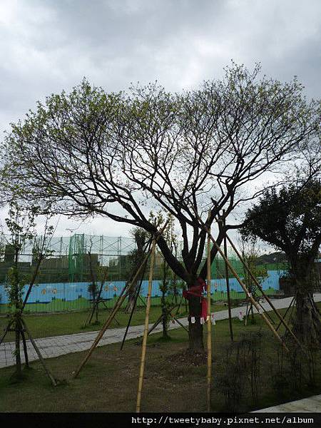 銅鑼燒.錦峰山.臥龍山.七堵臭粿仔.鐵路公園 145.JPG