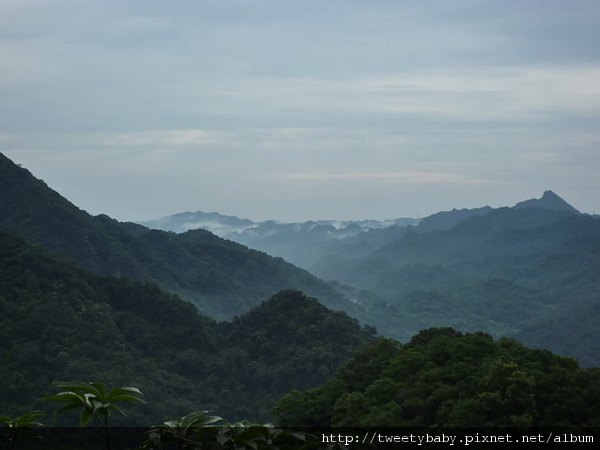 石碇雞冠山 061.JPG