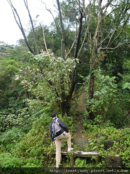 劍頭山.妙高台.五指山 073.JPG