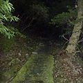 天母古道 038.JPG