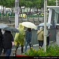 雨天花博全家福 054.JPG