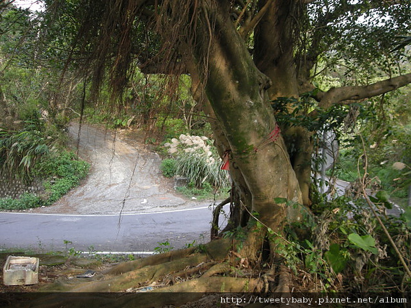 三山國王山.潤濟宮登山步道 029.JPG
