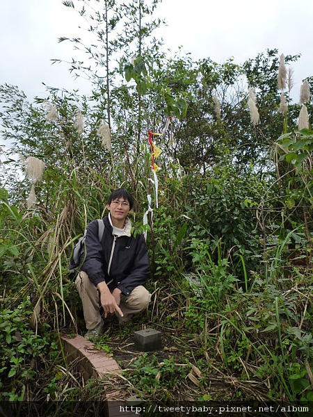 劍頭山.妙高台.五指山 037.JPG