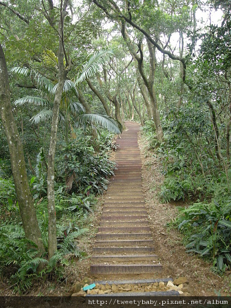 三山國王山.潤濟宮登山步道 076.JPG