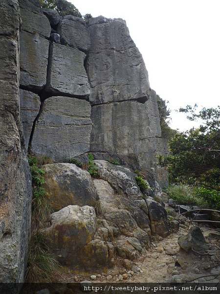 大炮岩.新北投山 021.JPG