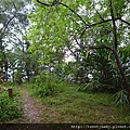 大茅埔山 042.JPG