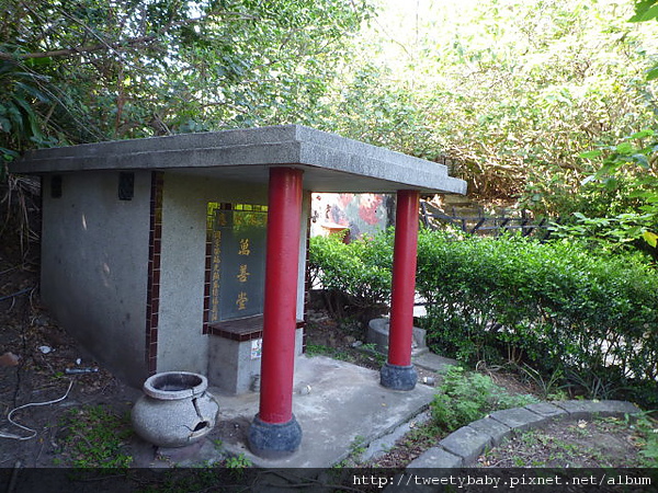 八里挖子尾自然保留區 150.JPG