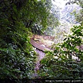大茅埔山 022.JPG
