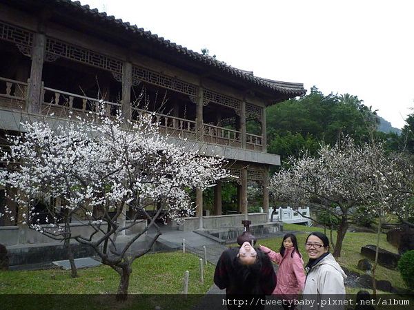 大英博物館珍藏展.至善園.知多家日式豬排 073.JPG