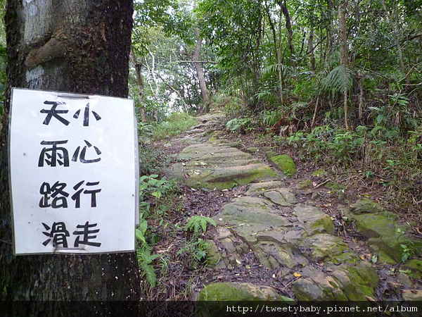 雞南山.文間山.劍南蝶園 075.JPG