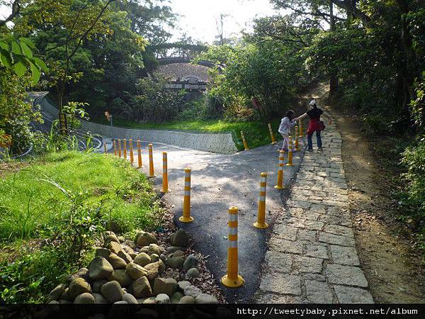 樟湖步道.樟樹步道.魚民日式料理 041.JPG