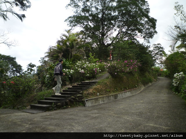 銅鑼燒.錦峰山.臥龍山.七堵臭粿仔.鐵路公園 036.JPG